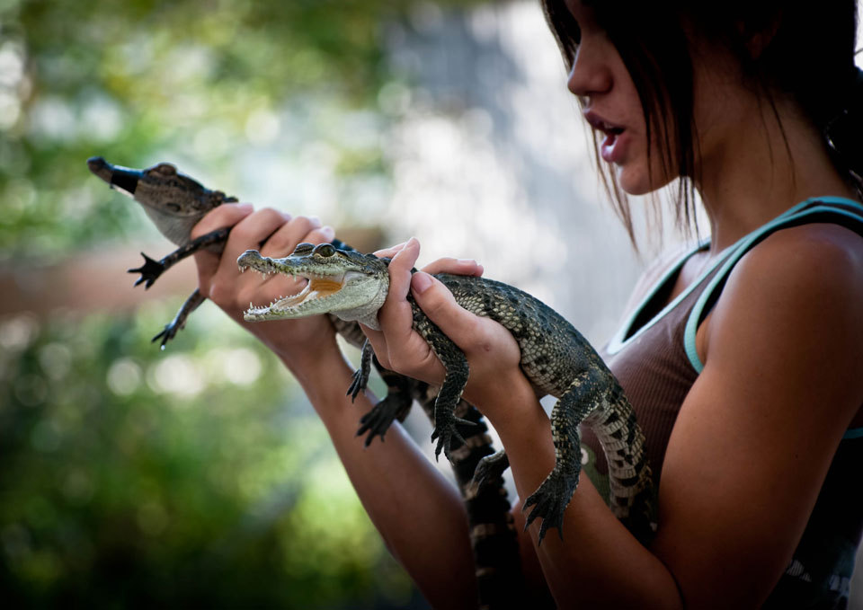 Miami Everglades Airboat Adventure with Transport Image 3