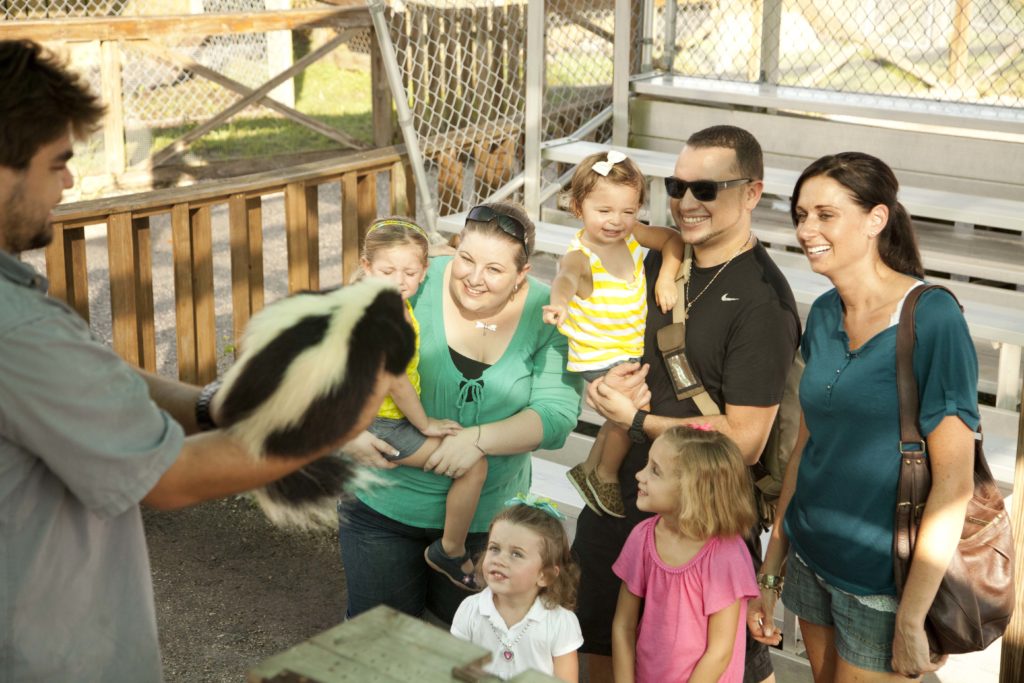 Miami Everglades Airboat Tour Image 3